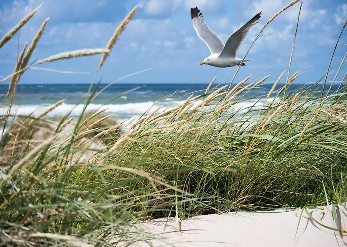 In Seaside Bruges With Balcony アパート